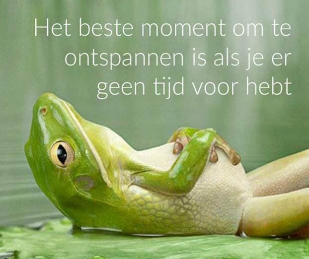 ProConnect activiteit